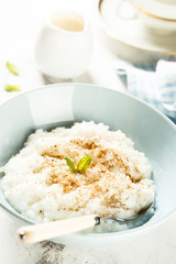 Rice dessert or Milchreis with cinnamon