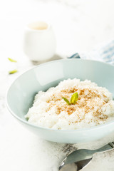 Rice dessert or Milchreis with cinnamon