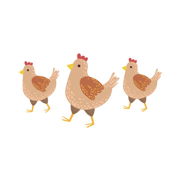 Three Brown Chickens Wakling