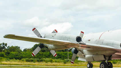 grey military Hercules cargo plane