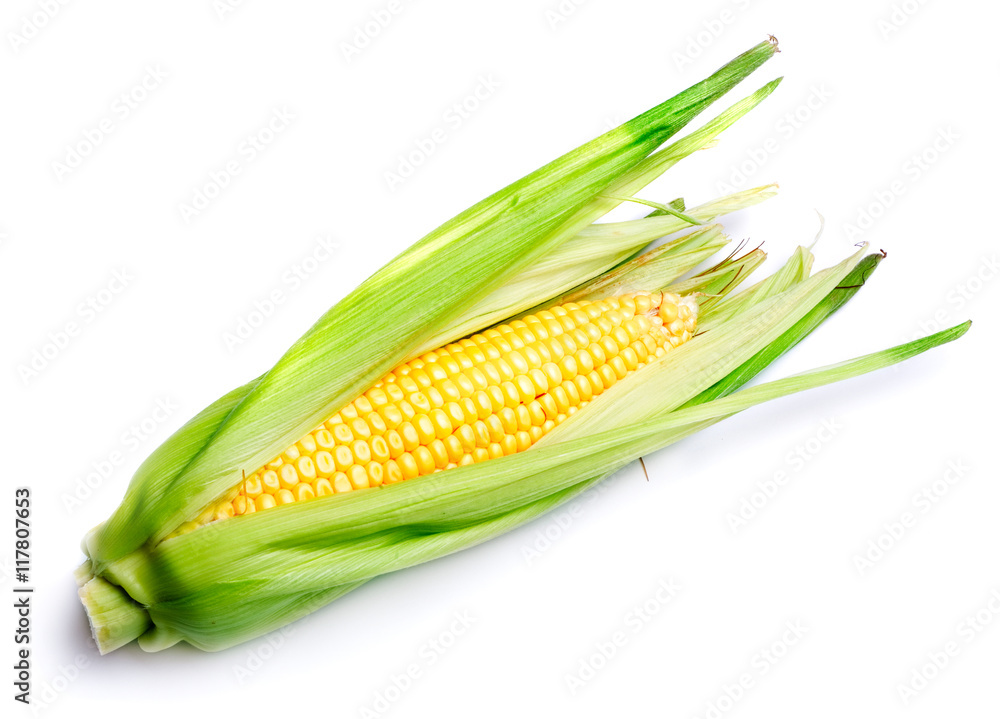 Wall mural corn cobs isolated on white background