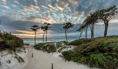 traumstrand darß