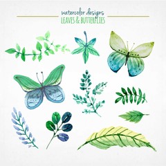 Watercolor leaves and butterflies