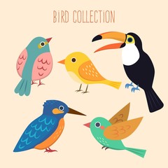 Cute birds collection