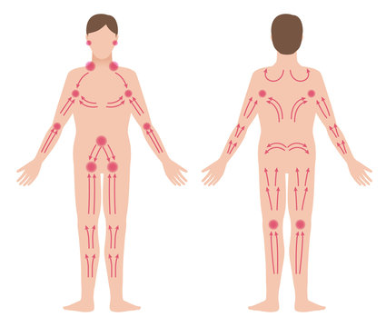 man's lymphatic massage diagram, front and back view, treatment of the swelling, vector illustration