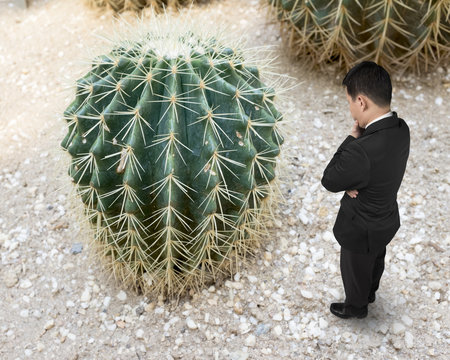 Small man looking at big cactus - Powered by Adobe