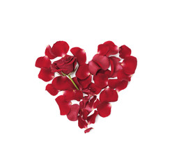 Heart made from roses petals isolated on white background top view. Flat lay.