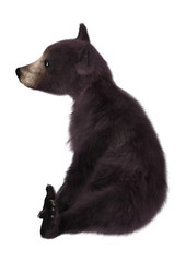 3D Rendering  Black Bear Cub on White