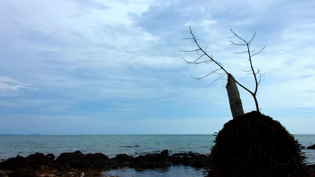 Tropical beach on Koh Mak island in time lapse, Thailand.