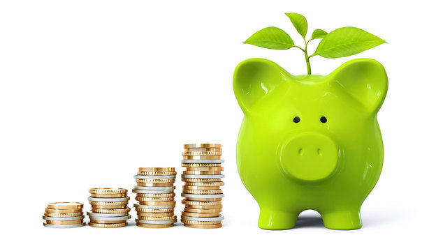 Green piggy bank with plant and coin stacks in ascending order