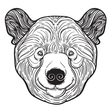 Animal teddy Bear head print for adult anti stress coloring page. Ethnic patterned ornate hand drawn vector illustration. symbol of Siberia, Russia. Sketch for tattoo, poster, print or t-shirt.