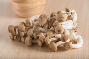 Shimeji mushrooms brown varieties.