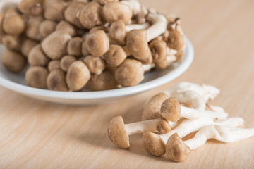 Shimeji mushrooms brown varieties.