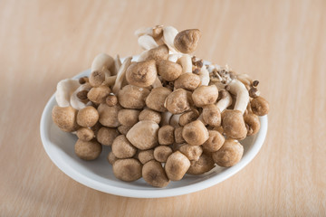 Shimeji mushrooms brown varieties.