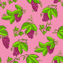 Vector seamless pattern with grape and leaves