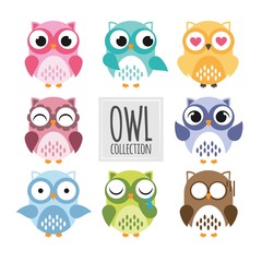 Colored owls collection