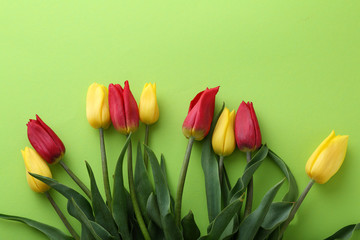 Spring flowers on green paper background