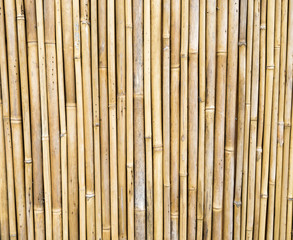 Bamboo background