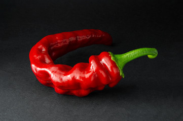 Hot red chili peppers and spices on a dark background