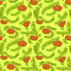 Rowan berry floral botany seamless pattern in line art style