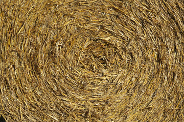 background straw, hay bale