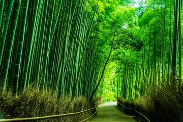 Gordijnen Het Arashiyama-bamboebos van Kyoto, Japan. © tarasan