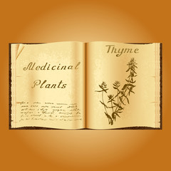 Thyme. Botanical illustration. Medical plants. Book herbalist. Old open book