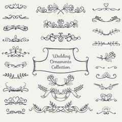 Hand drawn wedding ornament collection