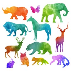 Colorful Animal Silhouettes Collection