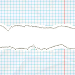 The school background