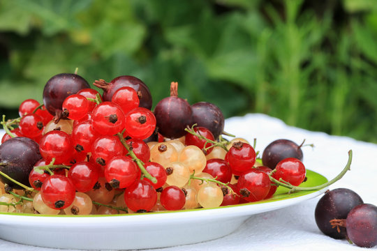 Letnie owoce takie jak porzeczki i agrest na zielonym tle