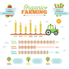 Organic farming infography in flat style 