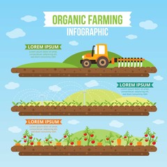 Organic farming infography in flat design