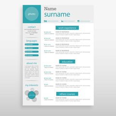 White resume with turquoise details