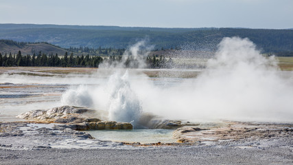Erupting geyser with steam. Fountain Paint Pots. Yellowstone National Park, Wyoming
