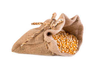 grain corn in small sack isolated on white background