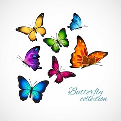 Obraz na płótnie Canvas Realistic and colorful butterflies