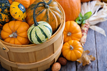 Variety of colorful decorative pumpkins in a basket