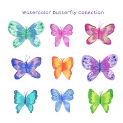 Fototapeta na wymiar Watercolor beautiful butterflies set