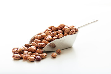 Raw pinto beans in a metallic scoop