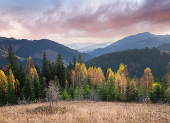 Fototapeta na wymiar Landscape with autumn forest on the hillside