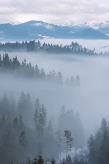 Glasbilder Wald im Nebel Berglandschaft mit Tannenwald und Nebel