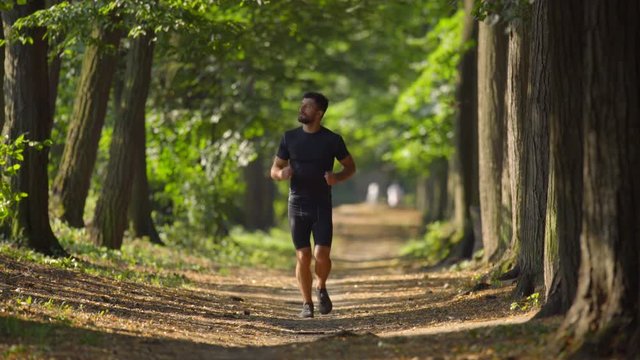 5 in 1 video! The athletic man run on the beautiful park alley. Real time capture. Super telephoto lens shot