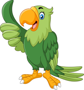 Cartoon happy parrot giving thumb up