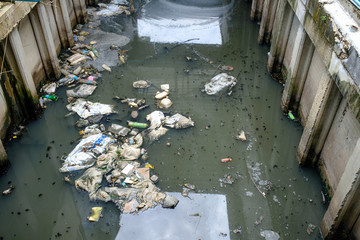 Pollution in canal