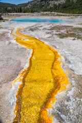 Vivid stream below the Sapphire Pool. Biscuit Basin, Yellowstone National Park, Wyoming