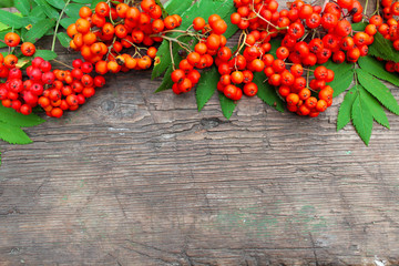 Background image. Red rowan on an old wooden board
