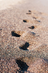 Footsteps on the black sand in summer