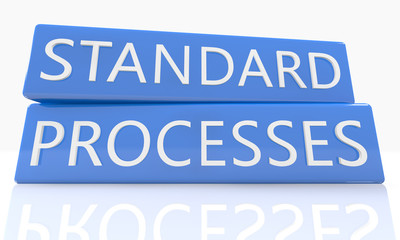 Standard Processes