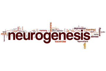 Name word cloud concept